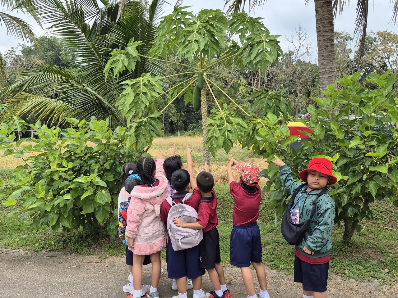 ภาพประกอบที่ 4