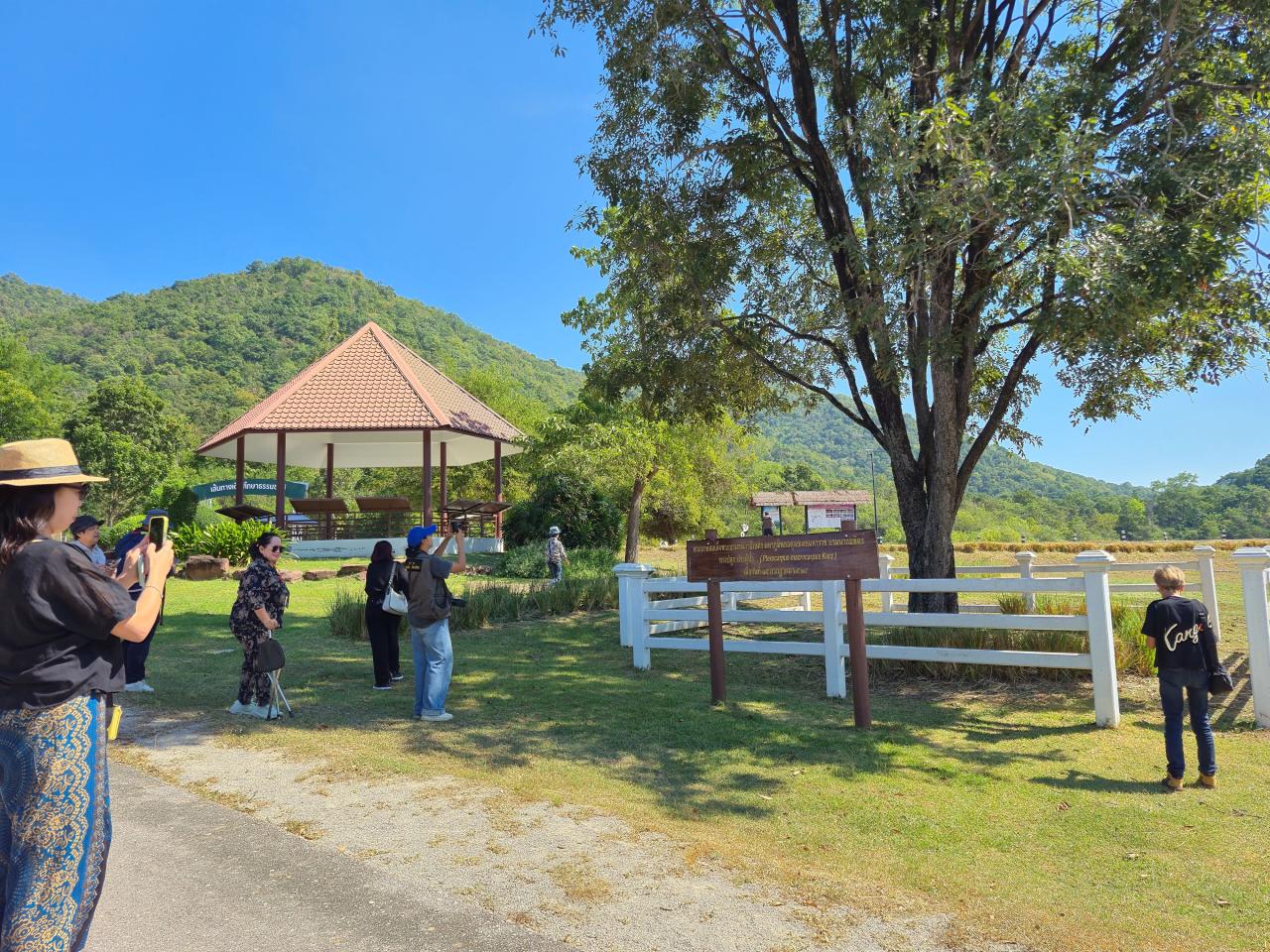 ภาพประกอบที่ 1