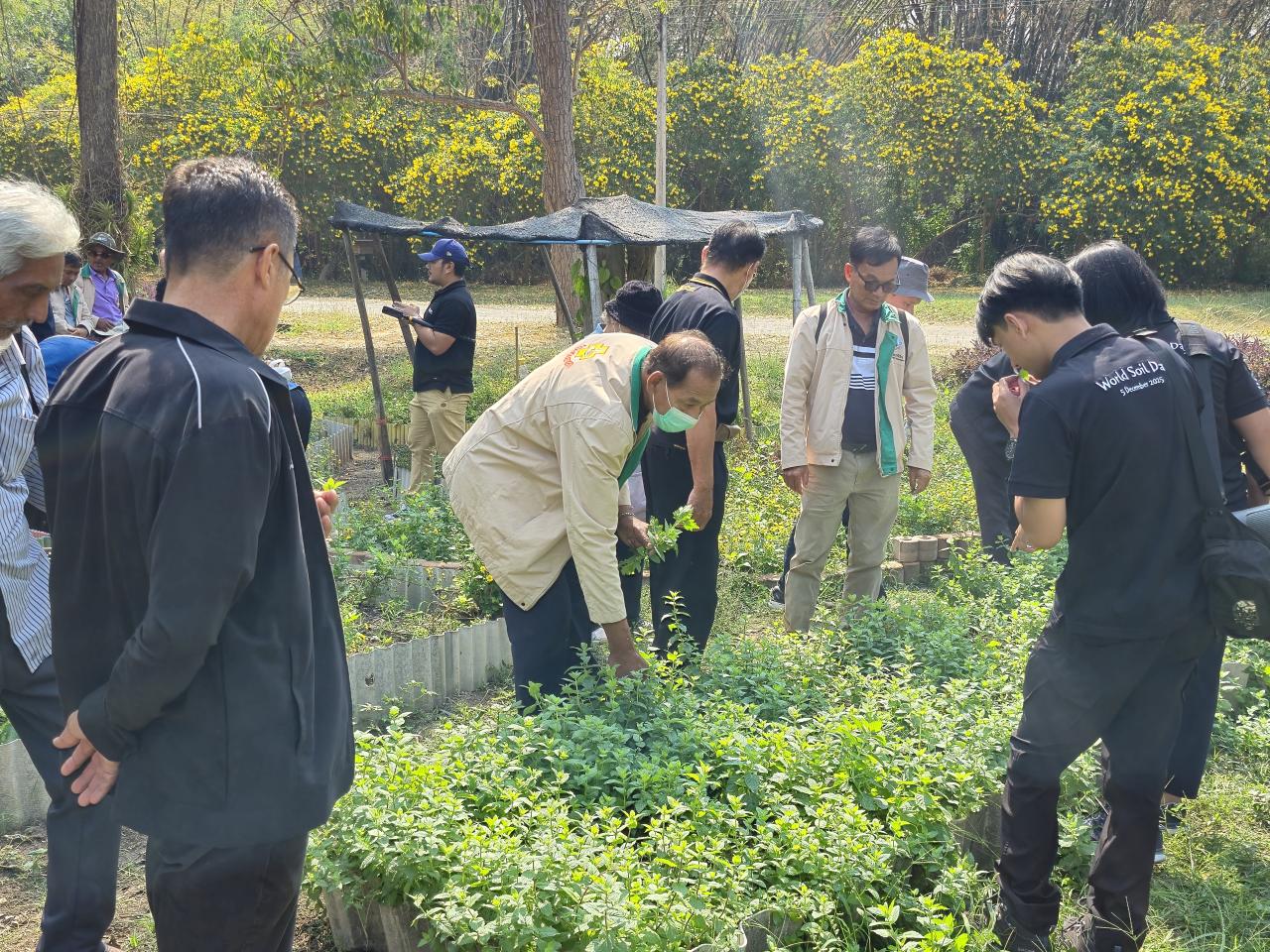 ภาพประกอบที่ 6