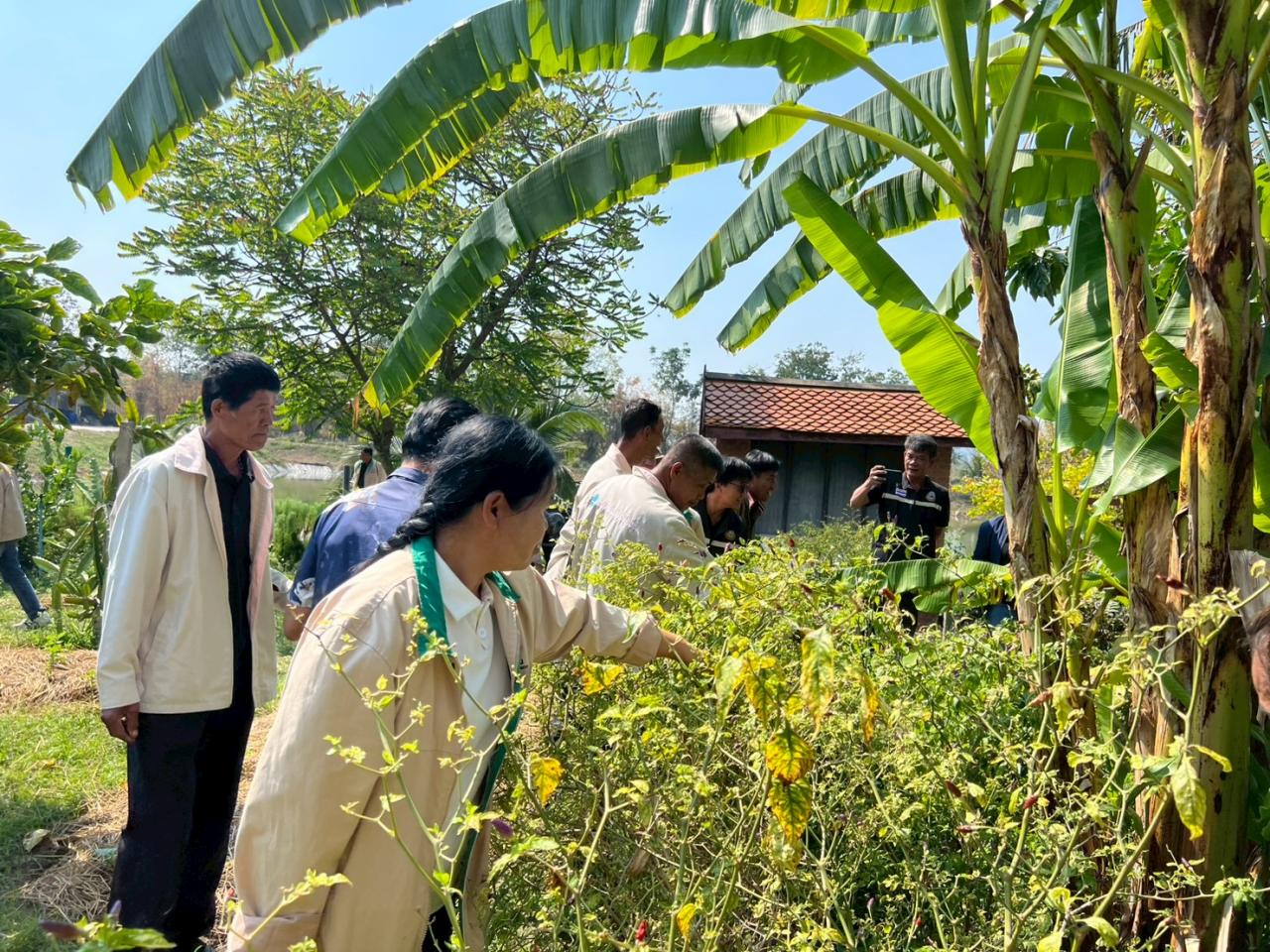 ภาพประกอบที่ 1