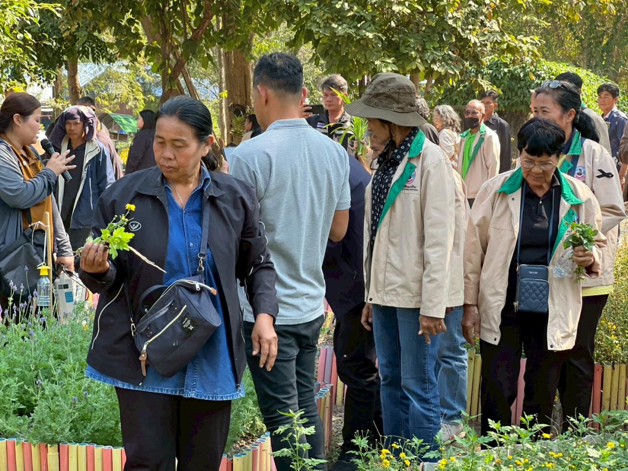 ภาพประกอบที่ 3