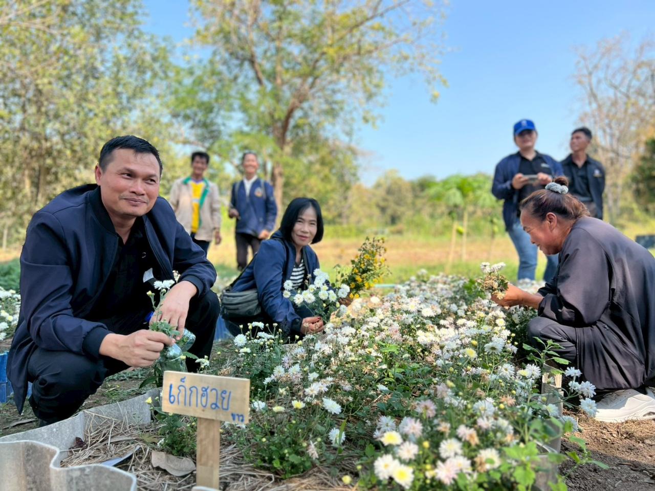 ภาพประกอบที่ 4