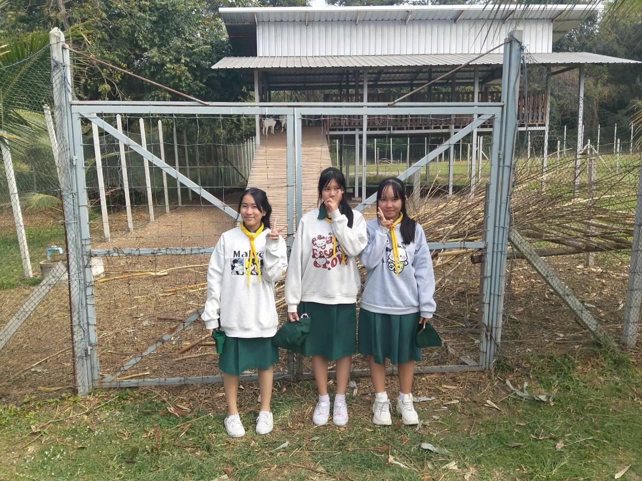 ภาพประกอบที่ 4