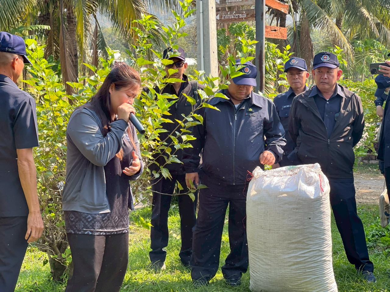 ภาพประกอบที่ 4