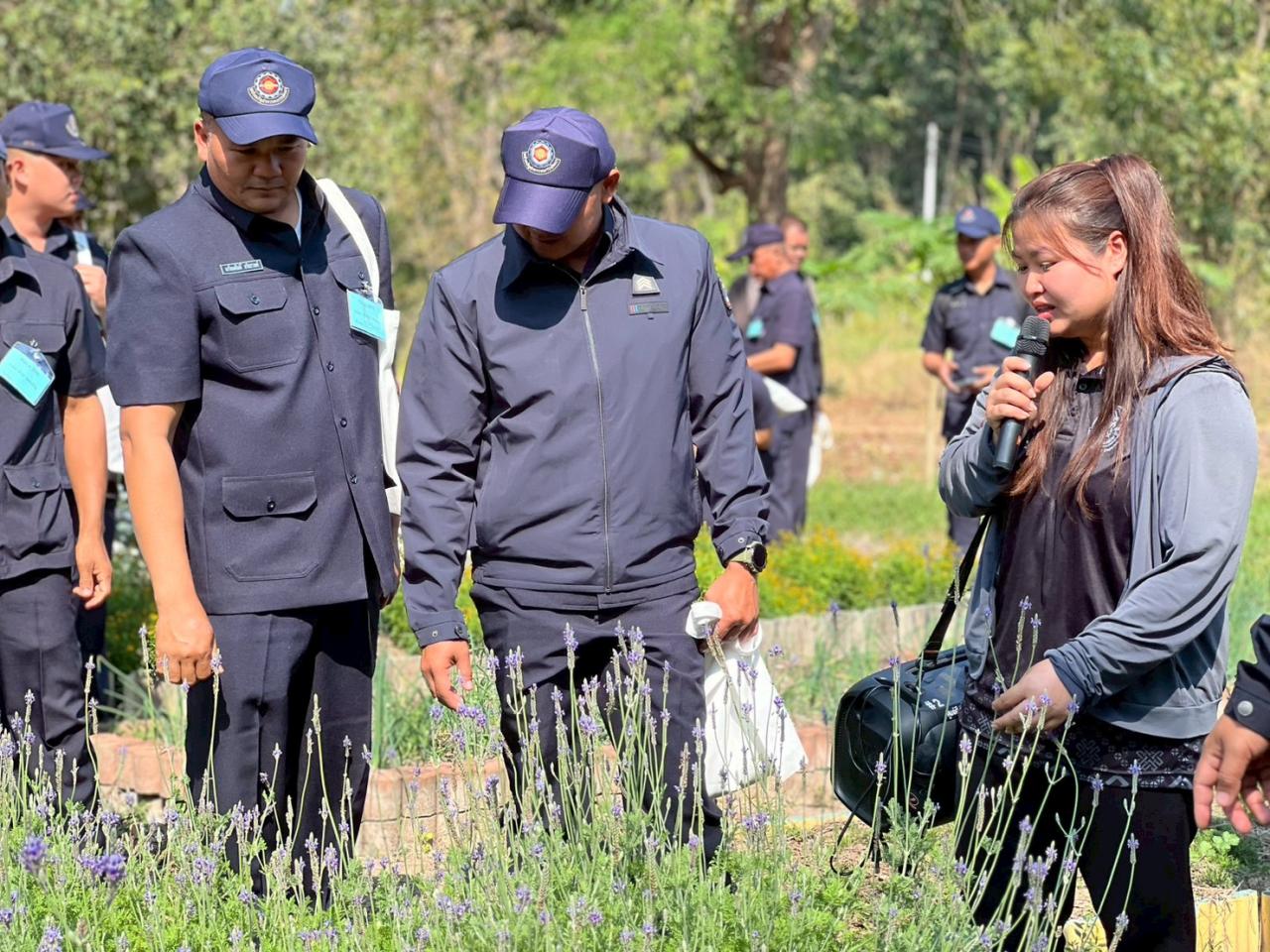 ภาพประกอบที่ 9