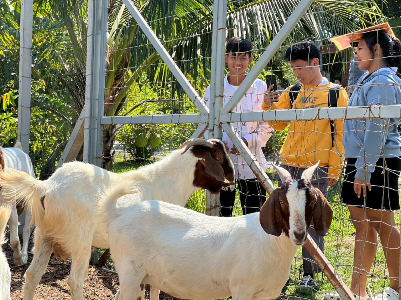 ภาพประกอบที่ 16