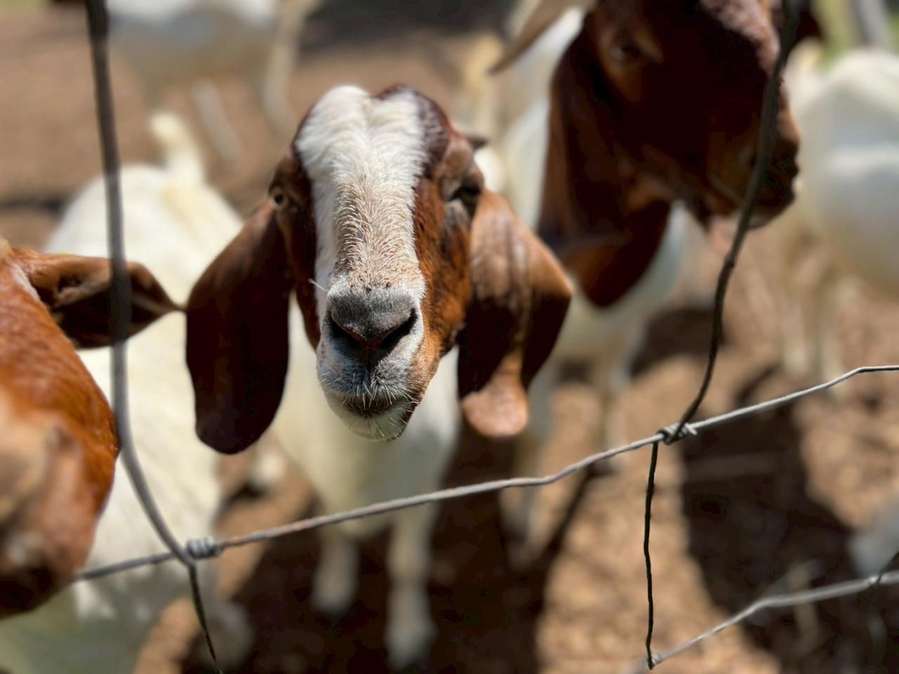 ภาพประกอบที่ 17