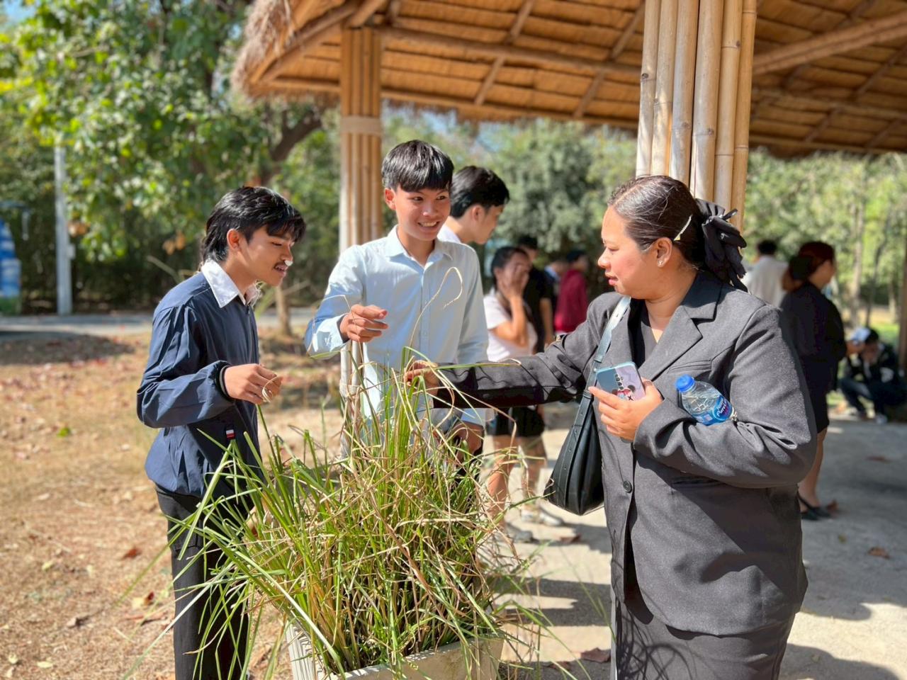 ภาพประกอบที่ 11