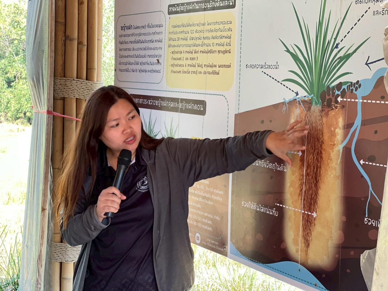 ภาพประกอบที่ 6