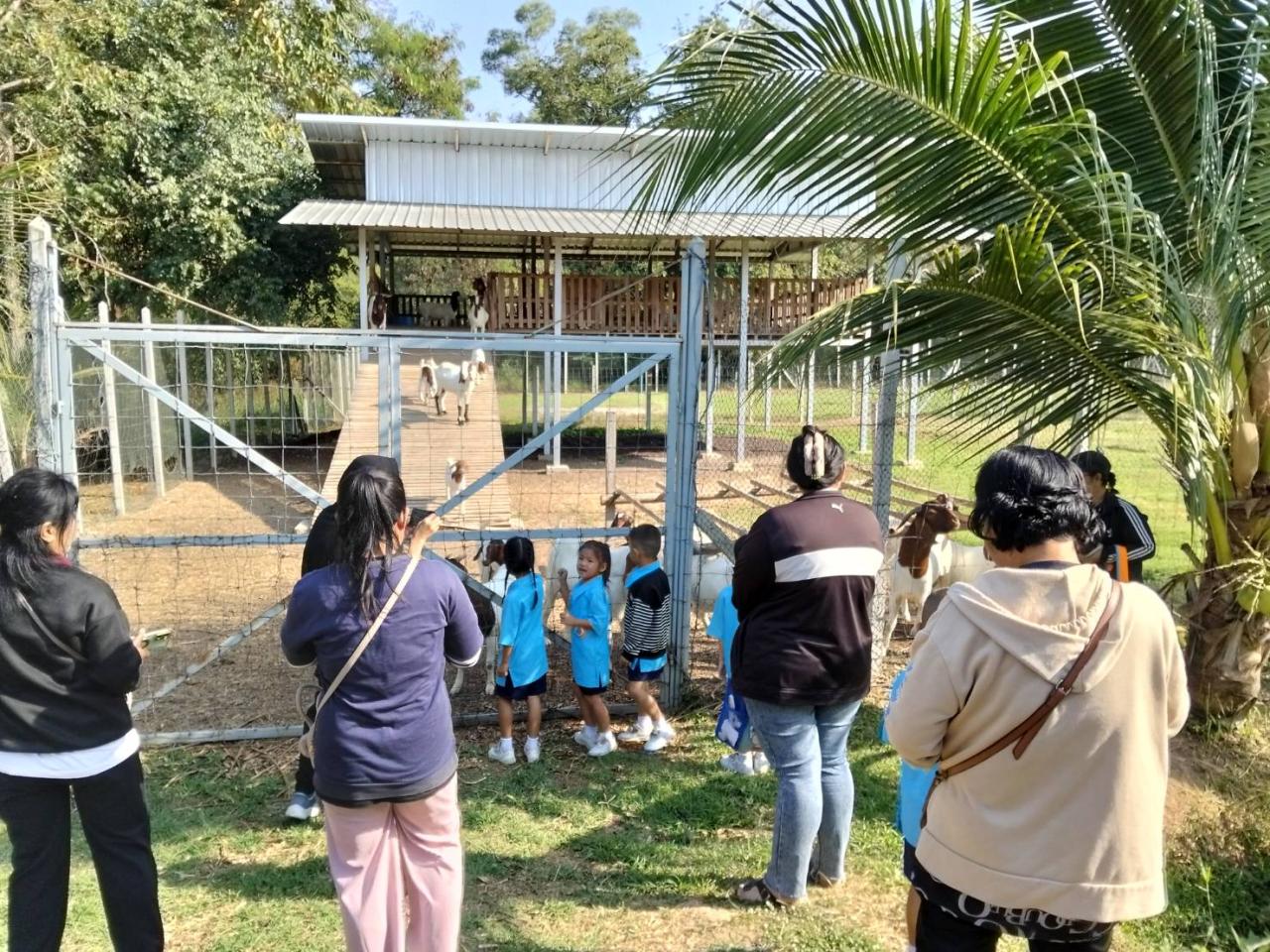ภาพประกอบที่ 2