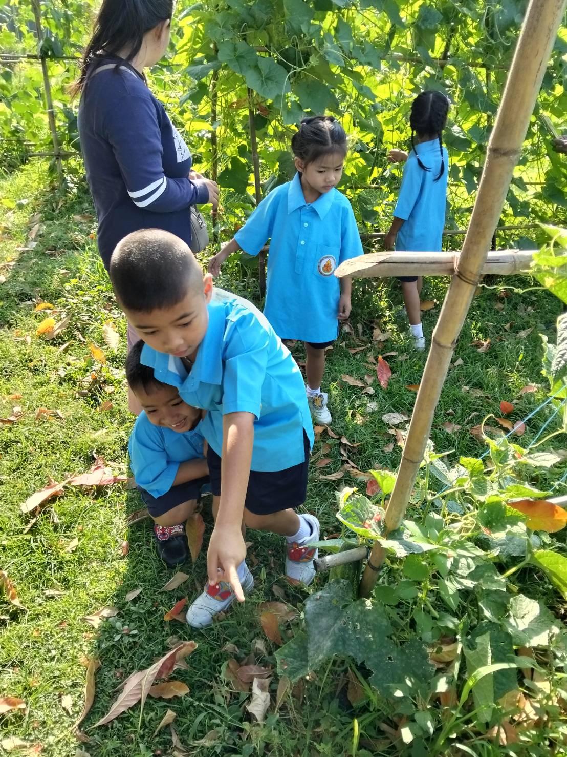 ภาพประกอบที่ 4
