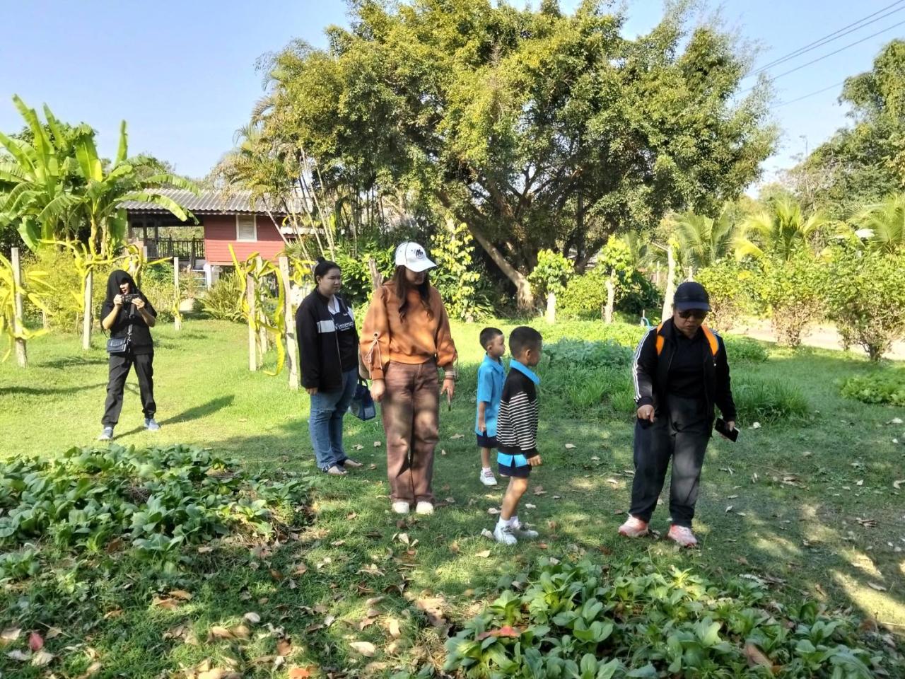 ภาพประกอบที่ 5