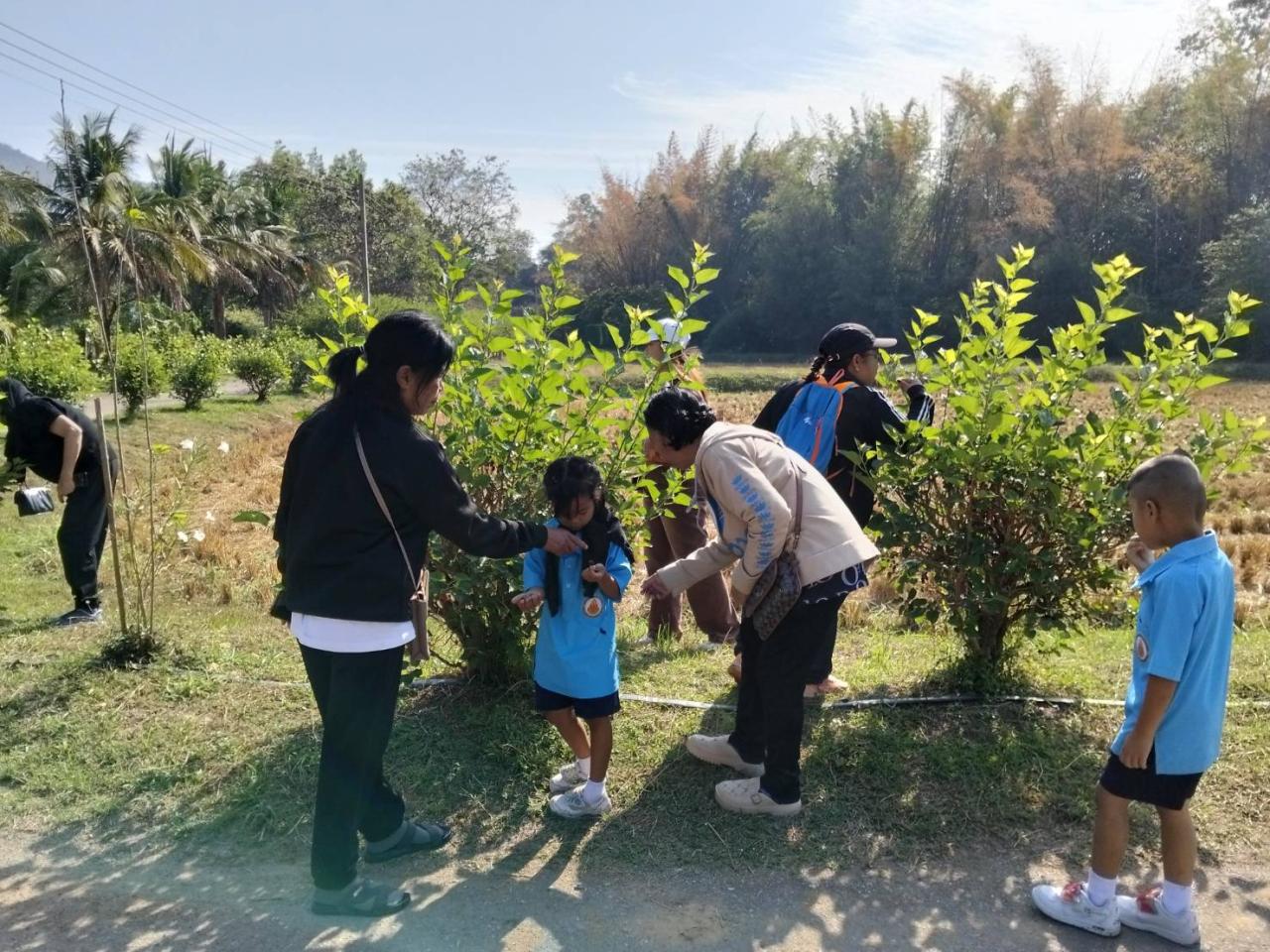 ภาพประกอบที่ 7