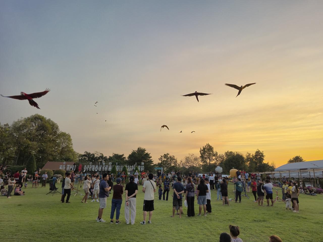 ภาพประกอบที่ 1