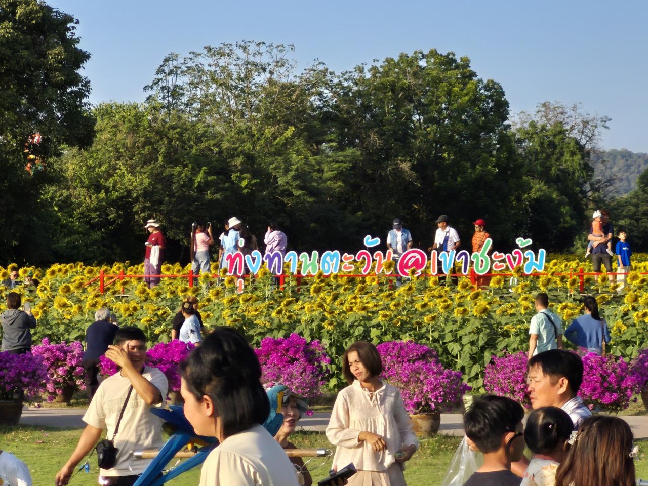 ภาพประกอบที่ 3