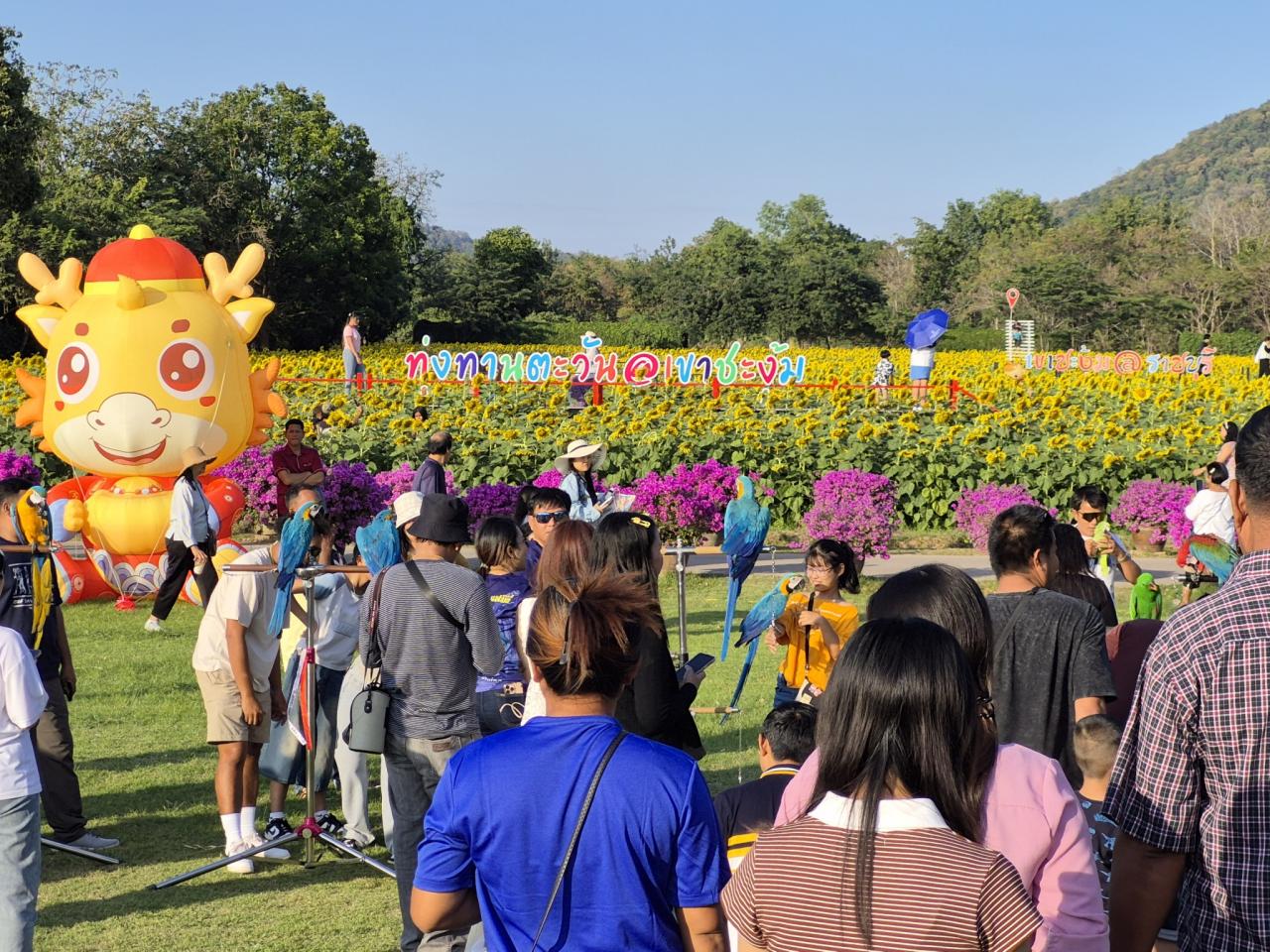 ภาพประกอบที่ 4