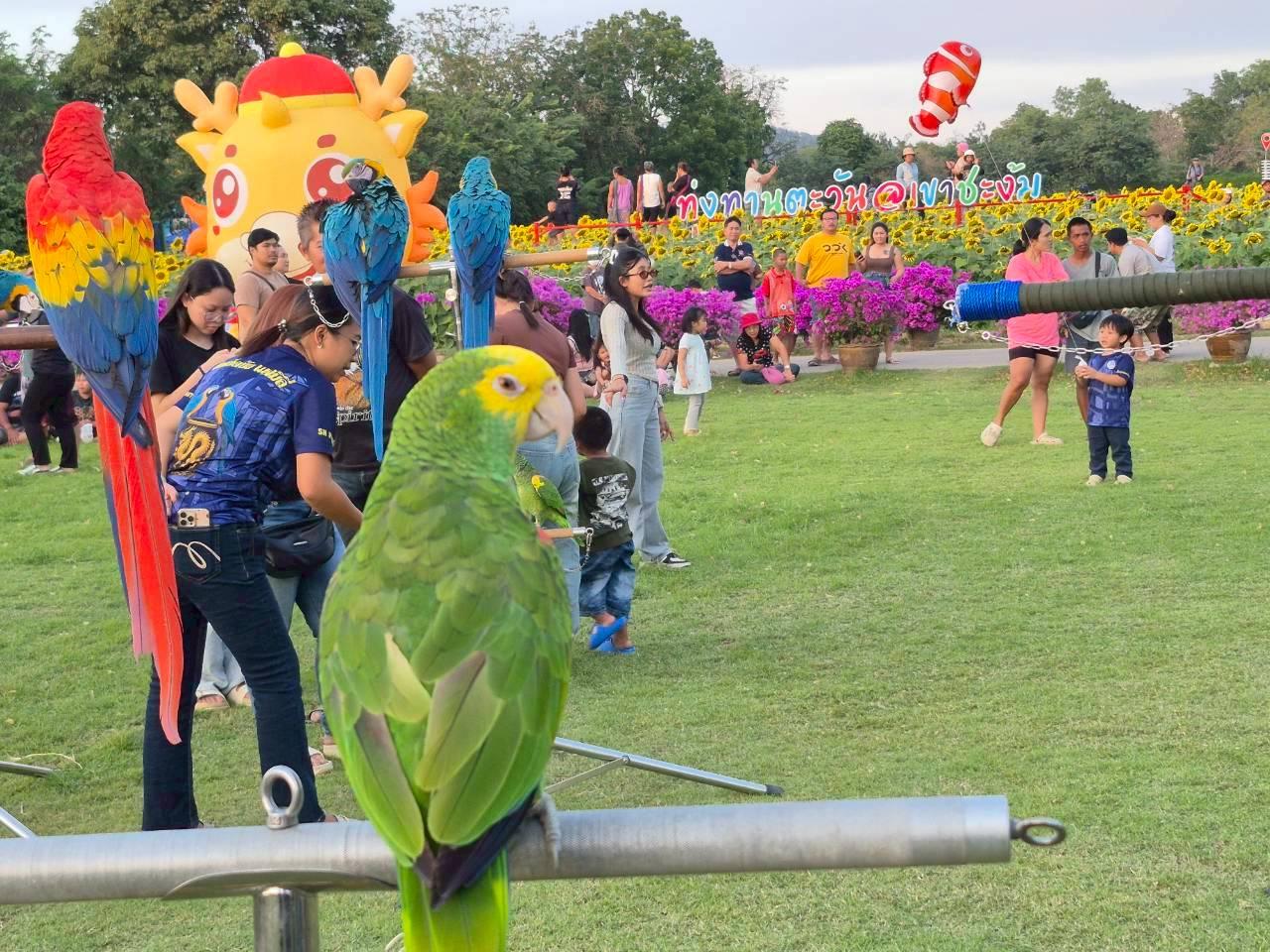 ภาพประกอบที่ 8