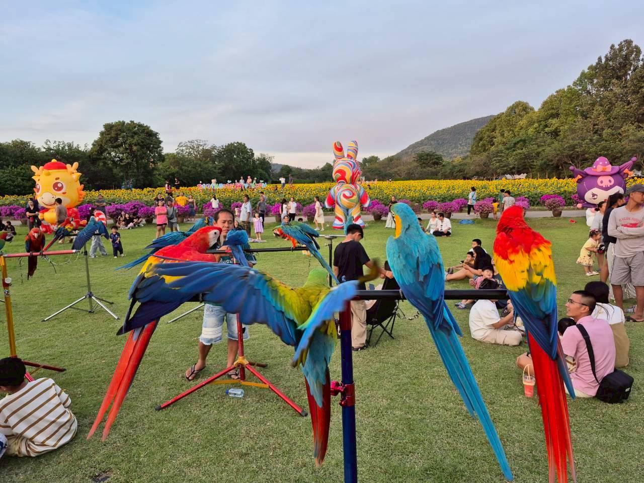 ภาพประกอบที่ 9