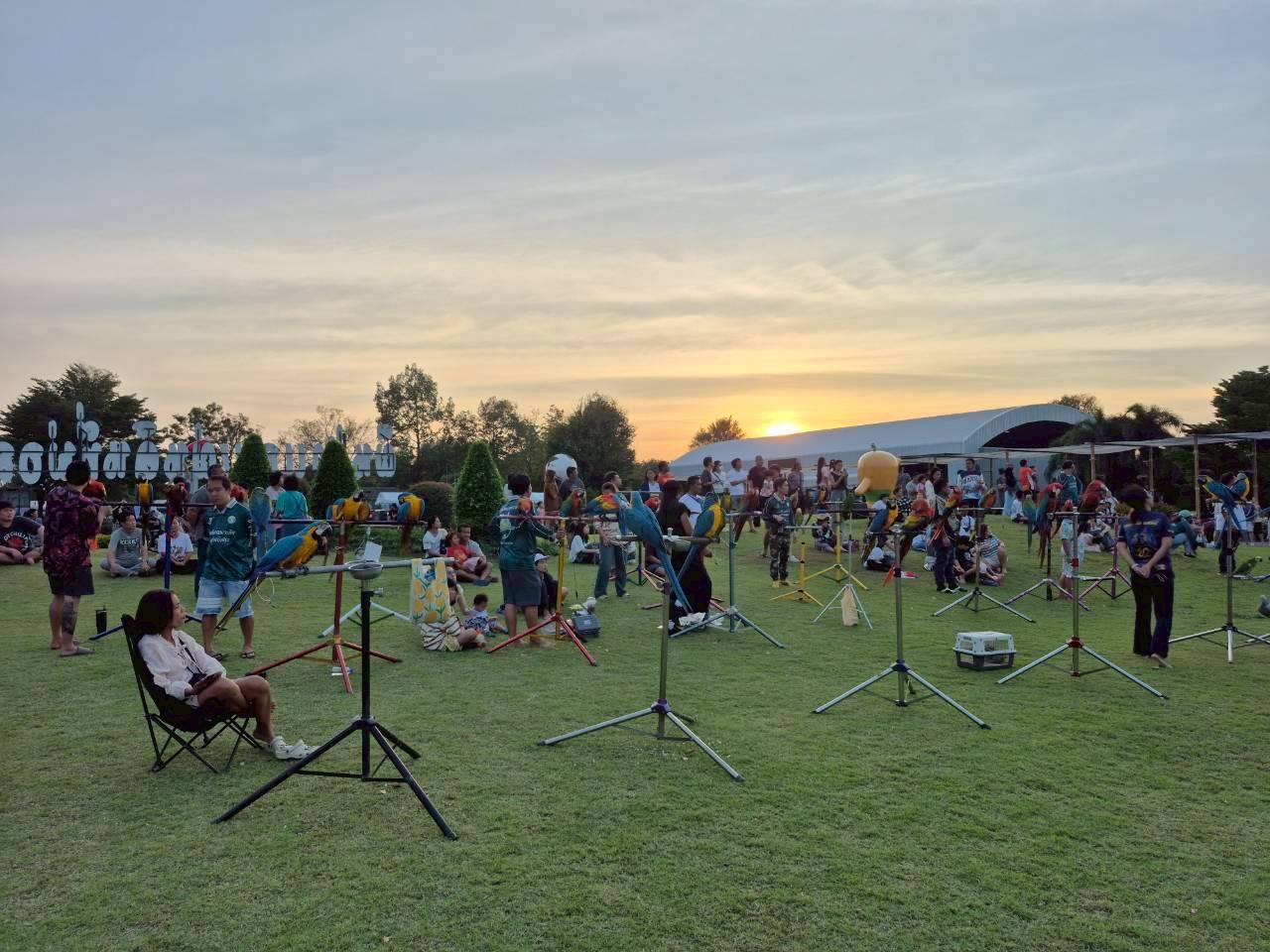 ภาพประกอบที่ 11