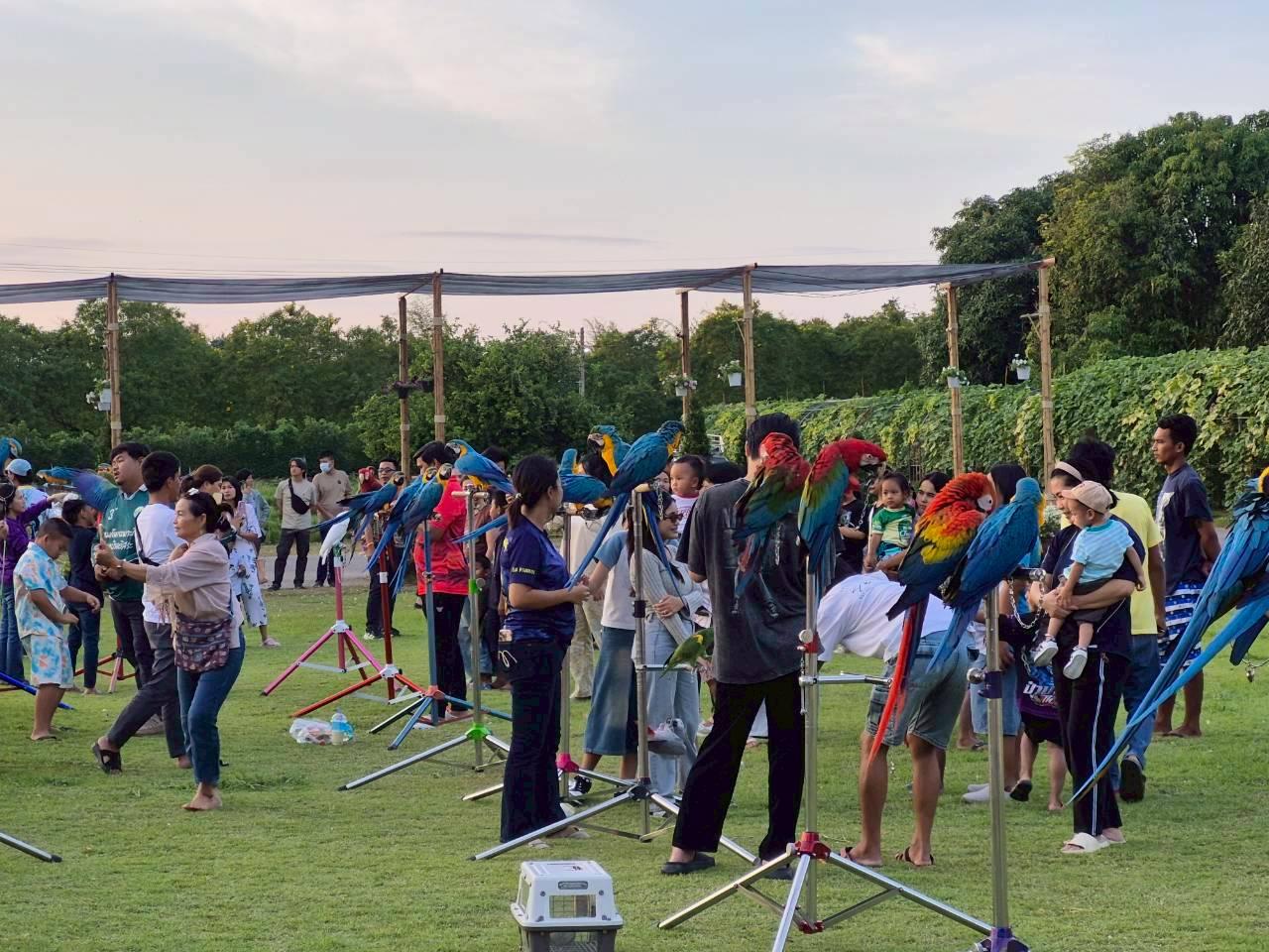 ภาพประกอบที่ 15