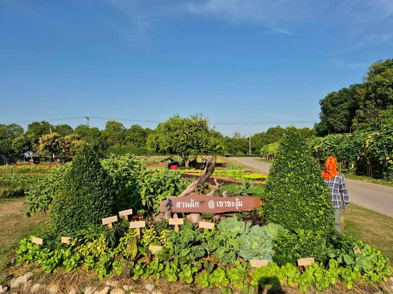 ภาพประกอบที่ 16