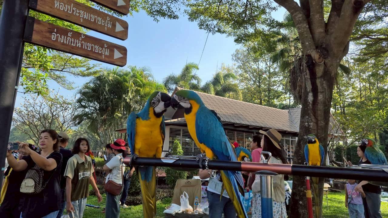 ภาพประกอบที่ 17