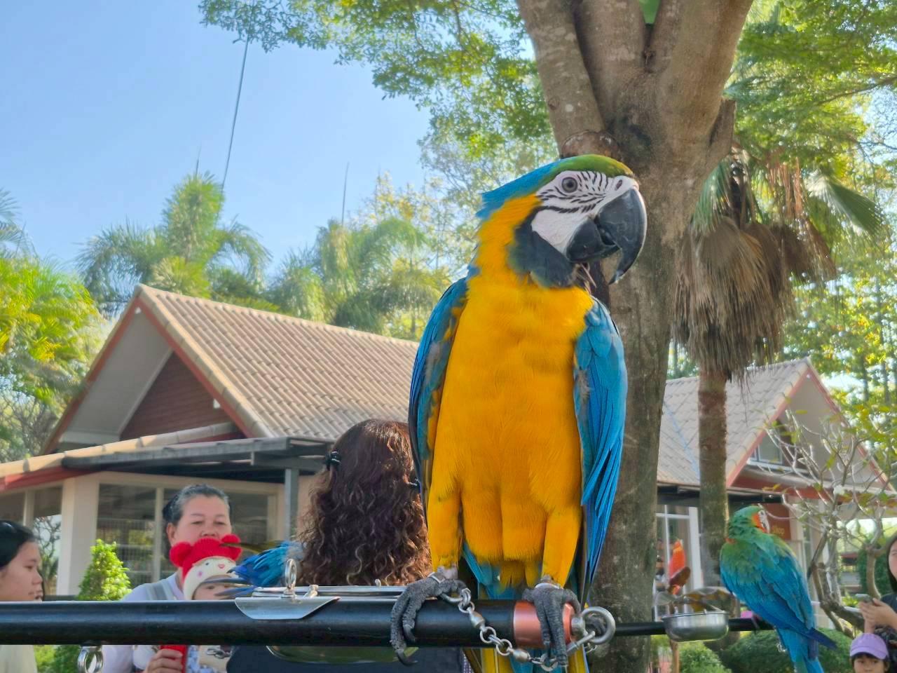 ภาพประกอบที่ 18