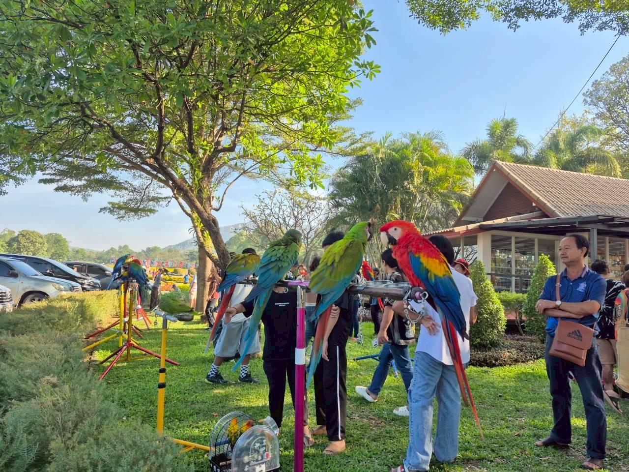 ภาพประกอบที่ 19