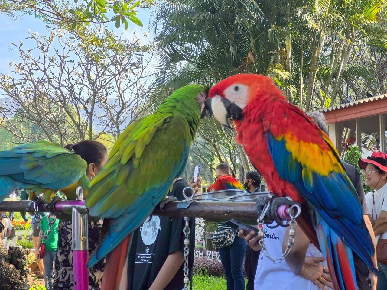 ภาพประกอบที่ 20