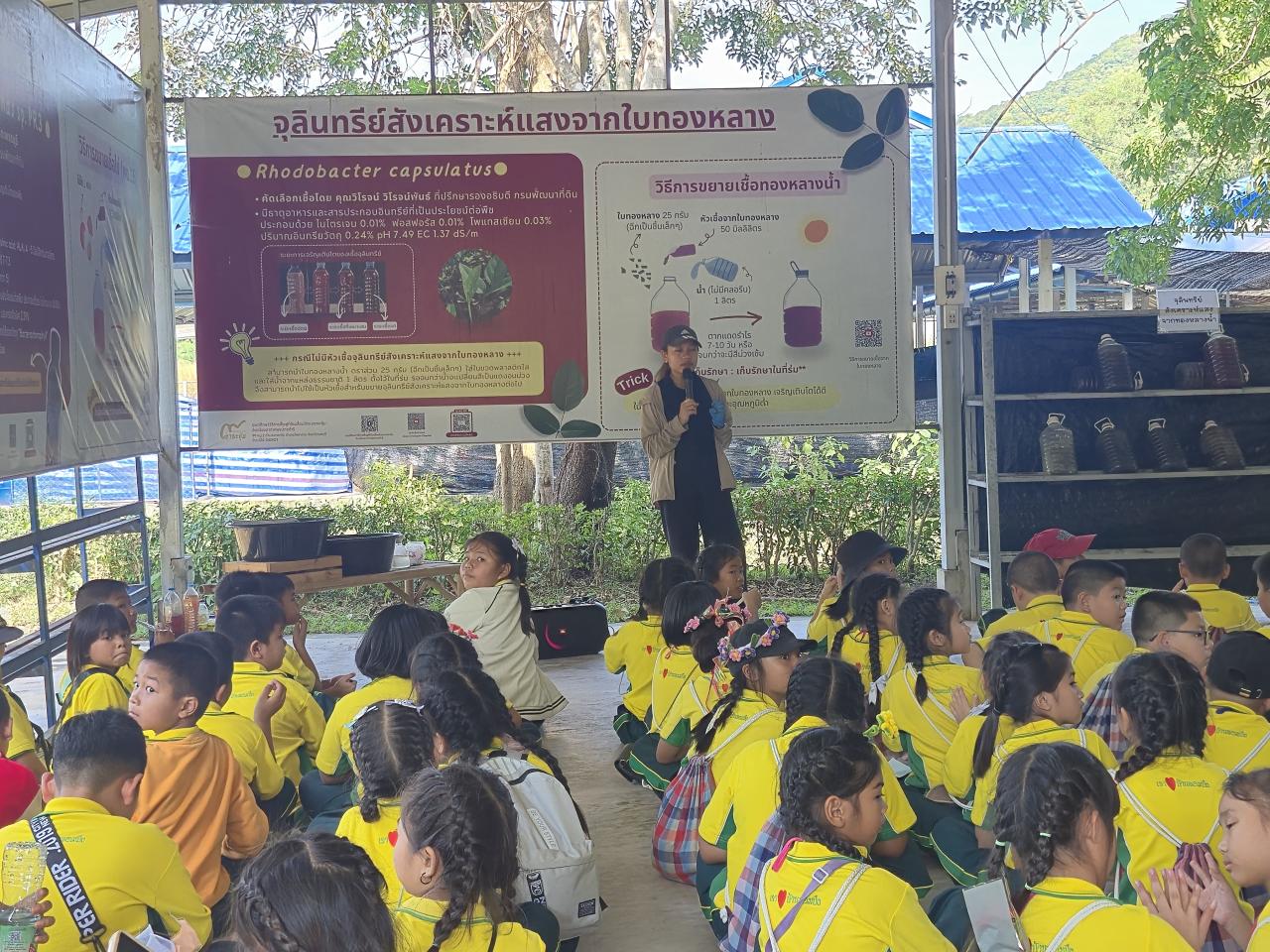 ภาพประกอบที่ 5