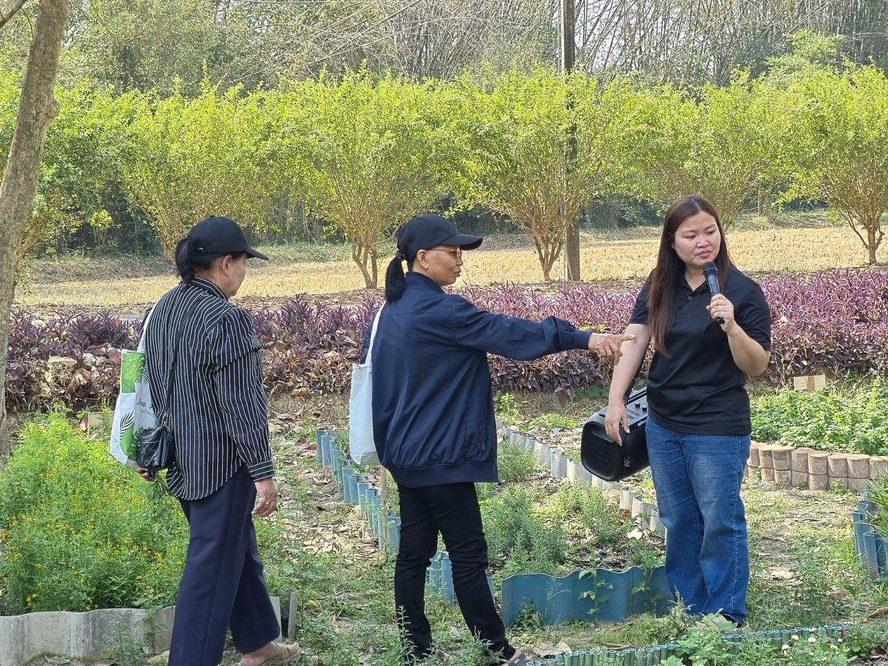 ภาพประกอบที่ 9