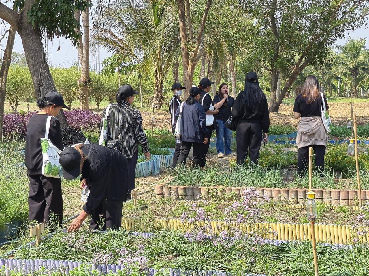 ภาพประกอบที่ 10