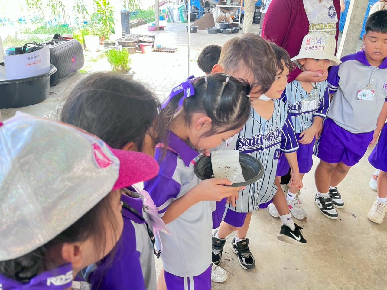 ภาพประกอบที่ 5