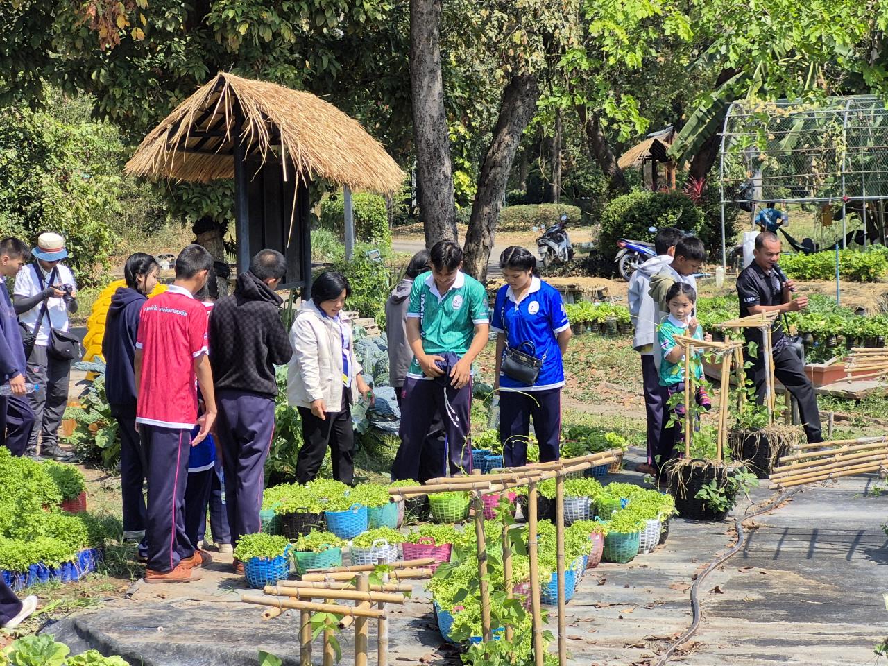 ภาพประกอบที่ 9