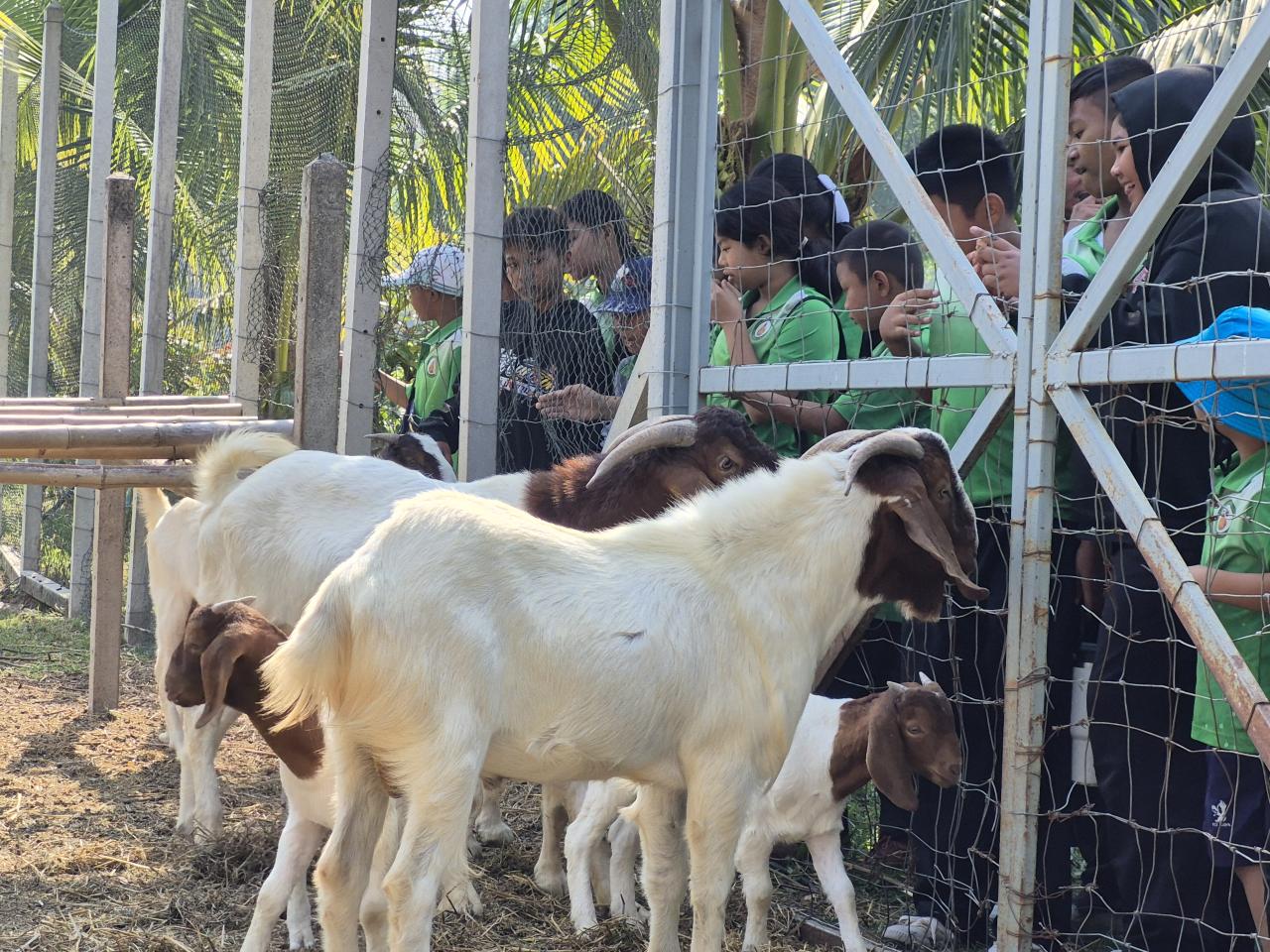 ภาพประกอบที่ 4