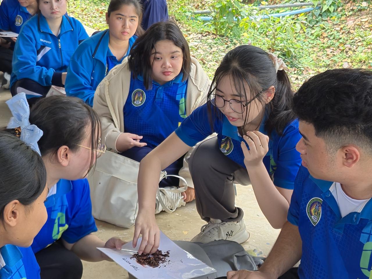 ภาพประกอบที่ 8