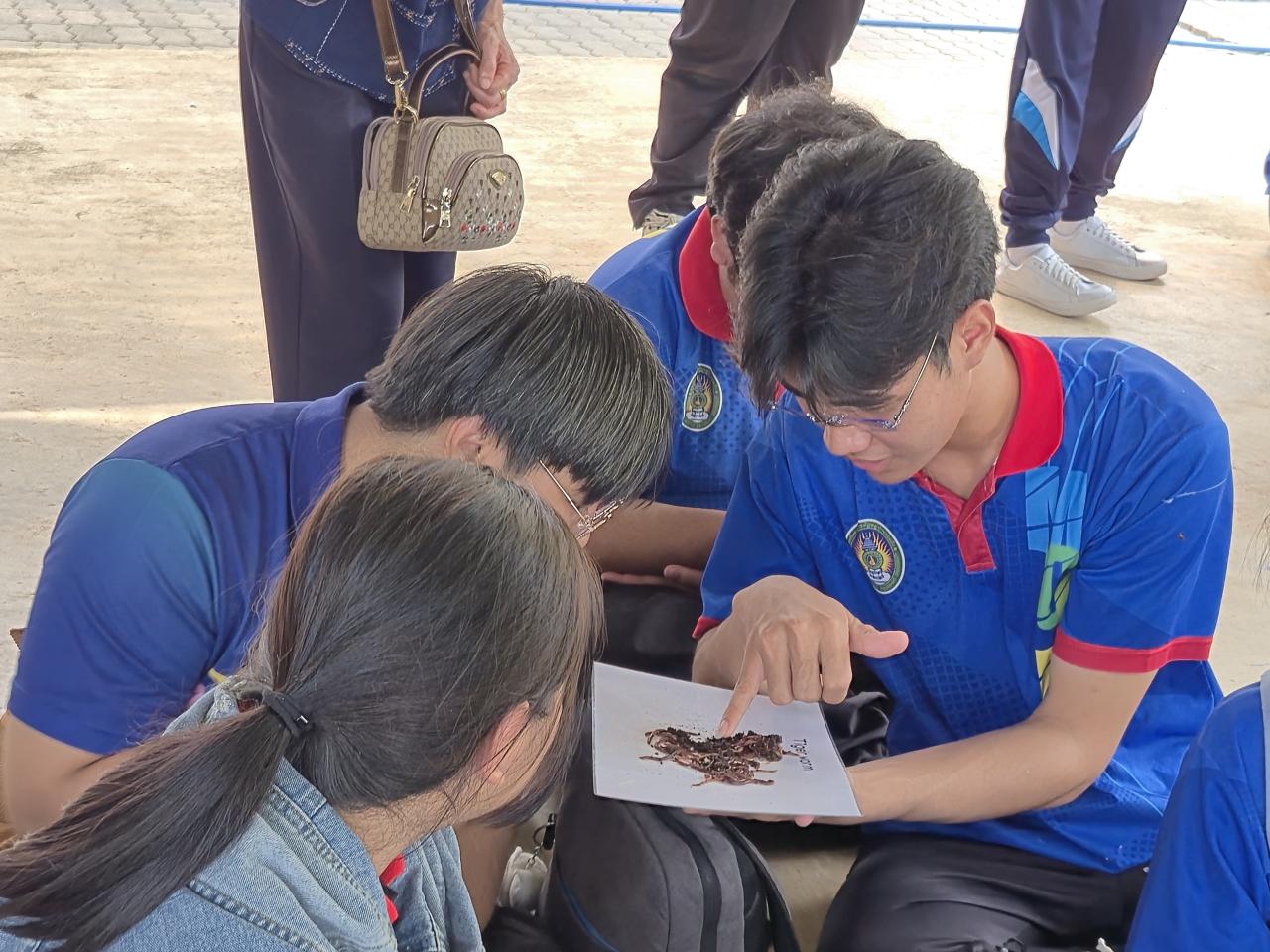 ภาพประกอบที่ 10