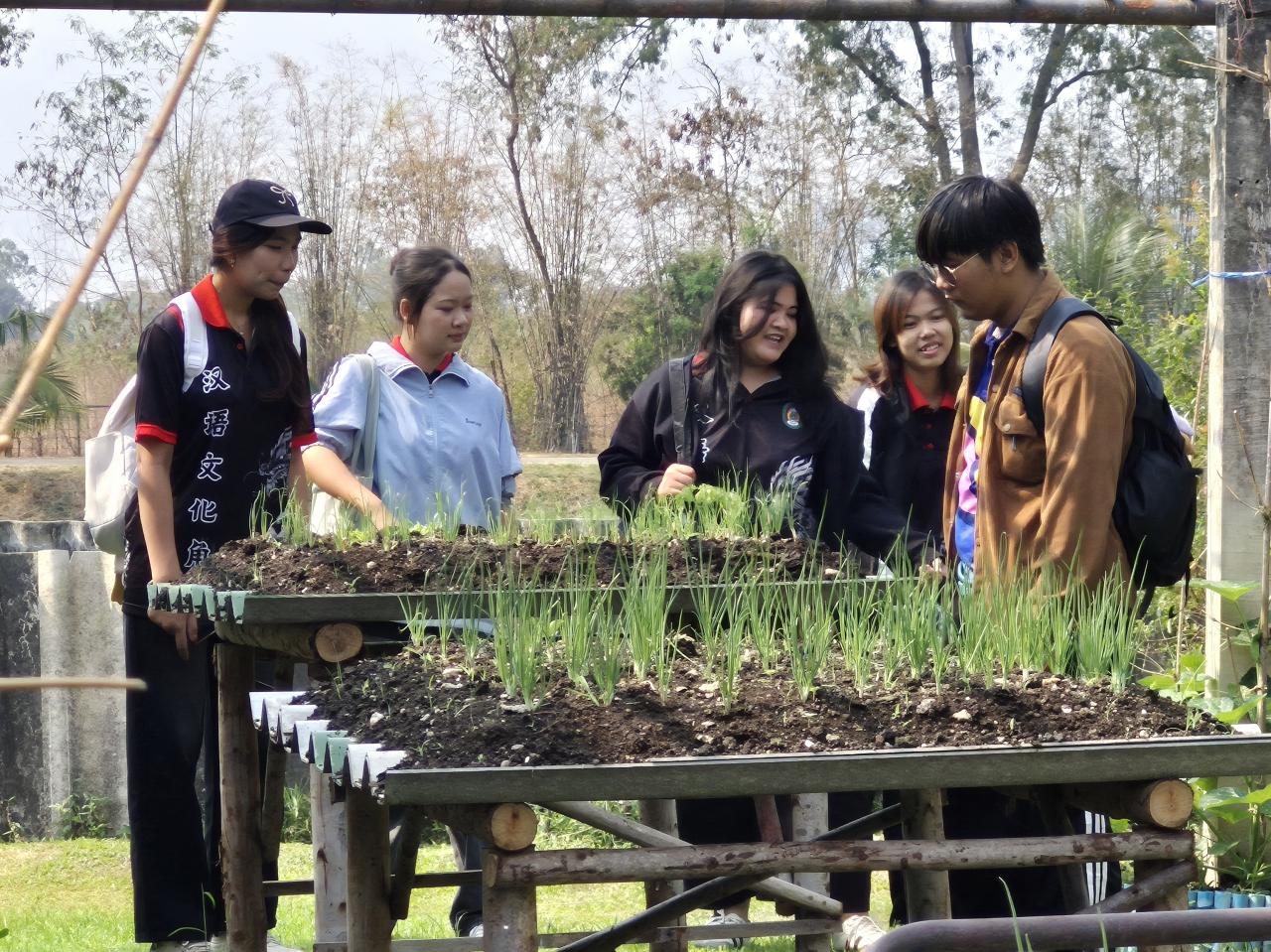 ภาพประกอบที่ 4