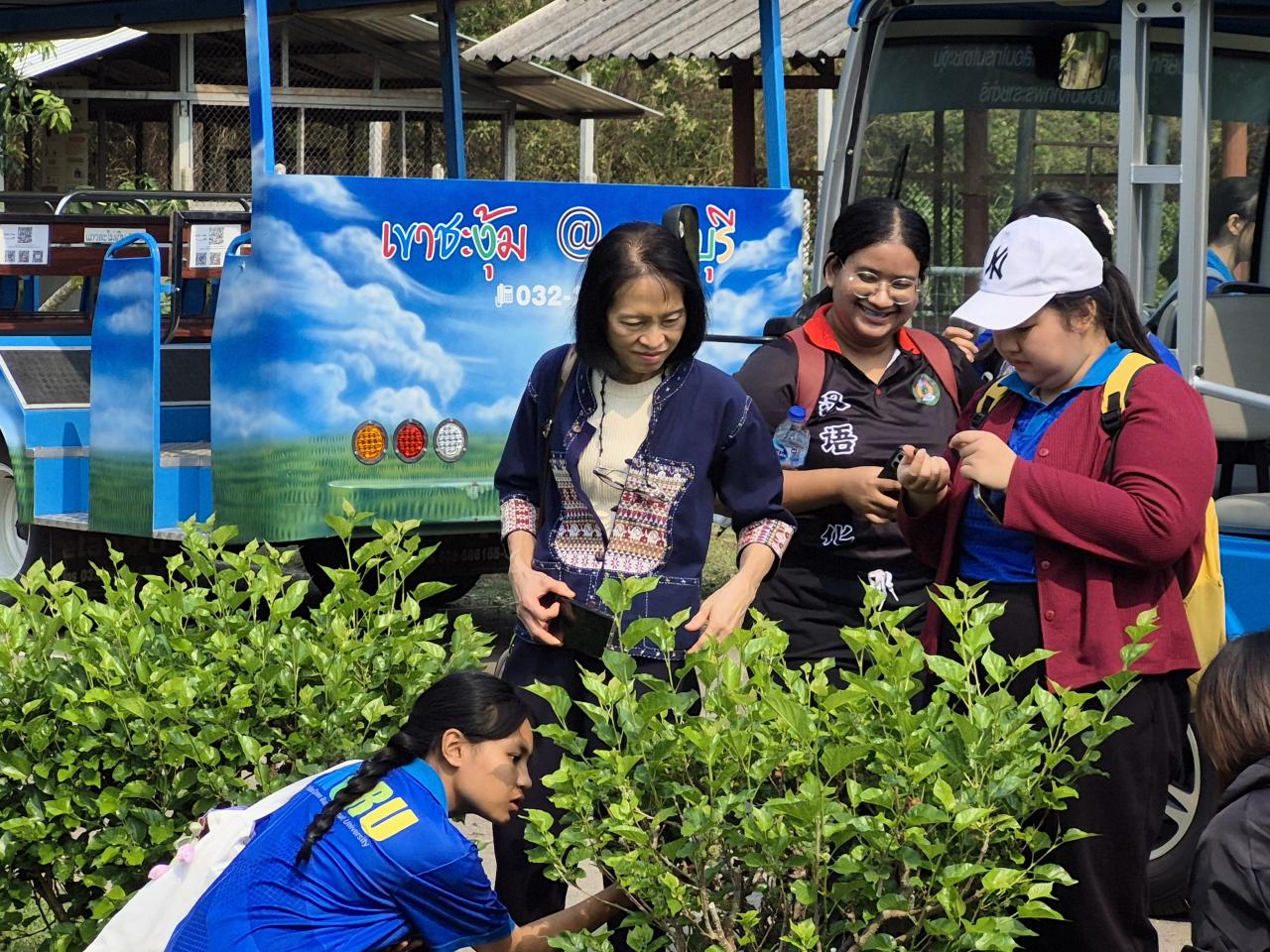 ภาพประกอบที่ 5