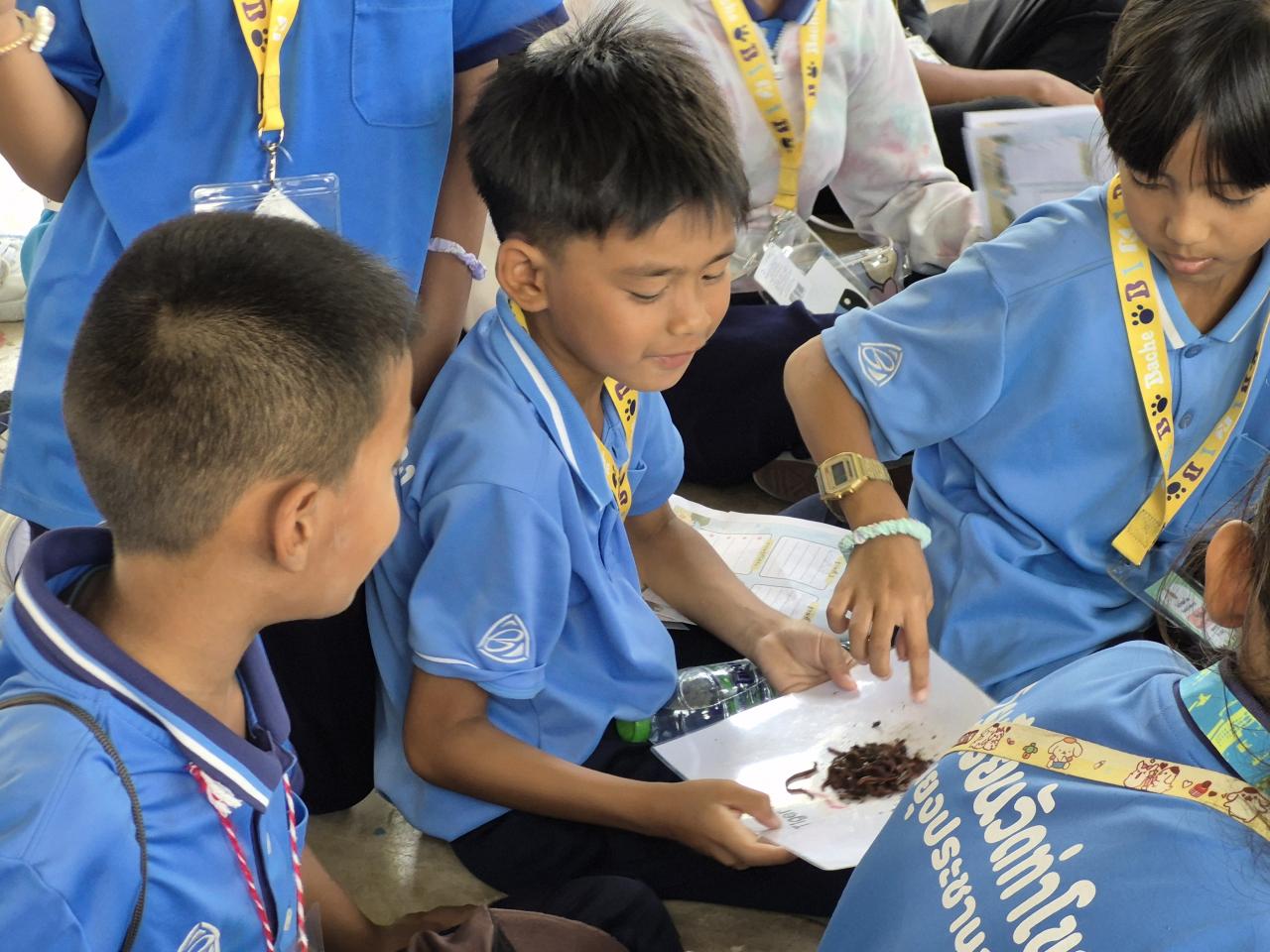 ภาพประกอบที่ 15