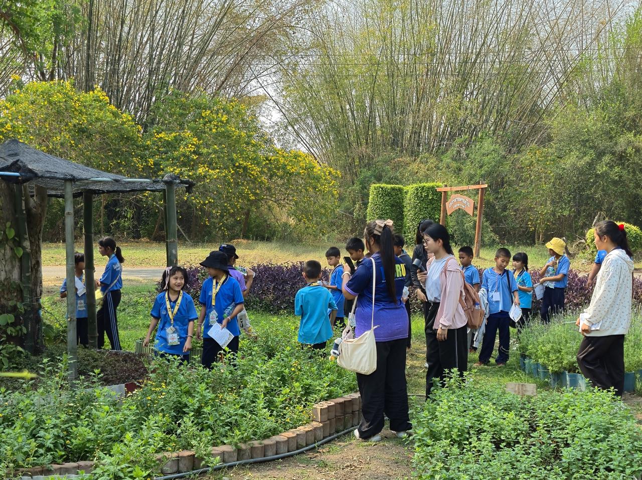 ภาพประกอบที่ 11
