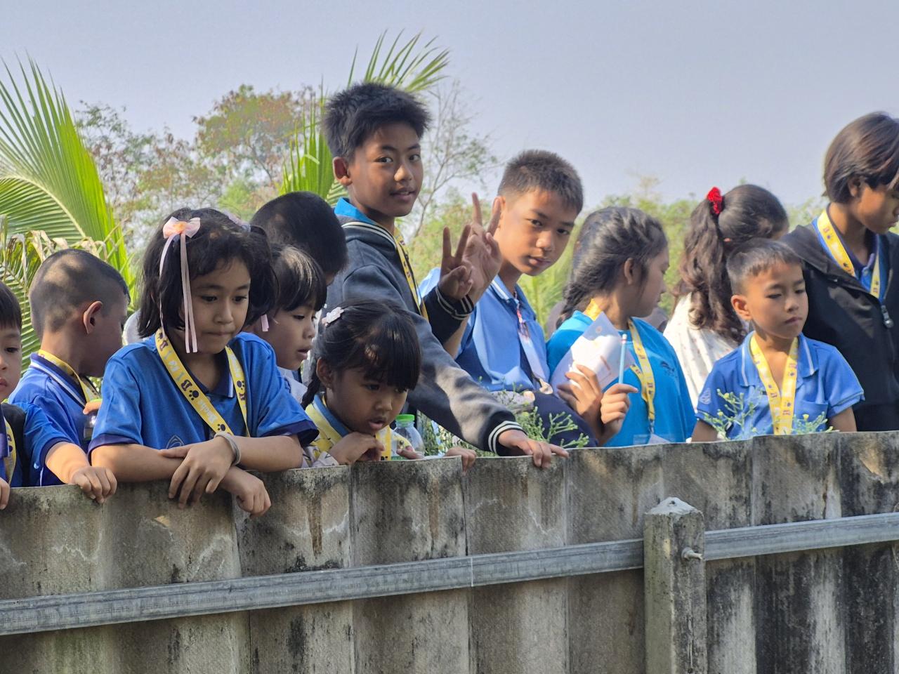 ภาพประกอบที่ 7