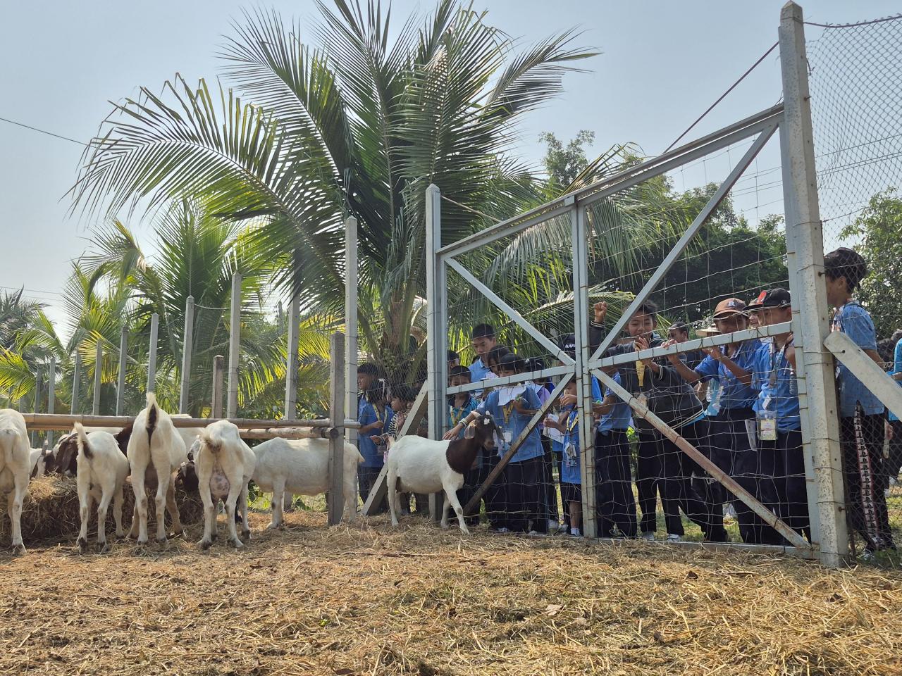 ภาพประกอบที่ 8