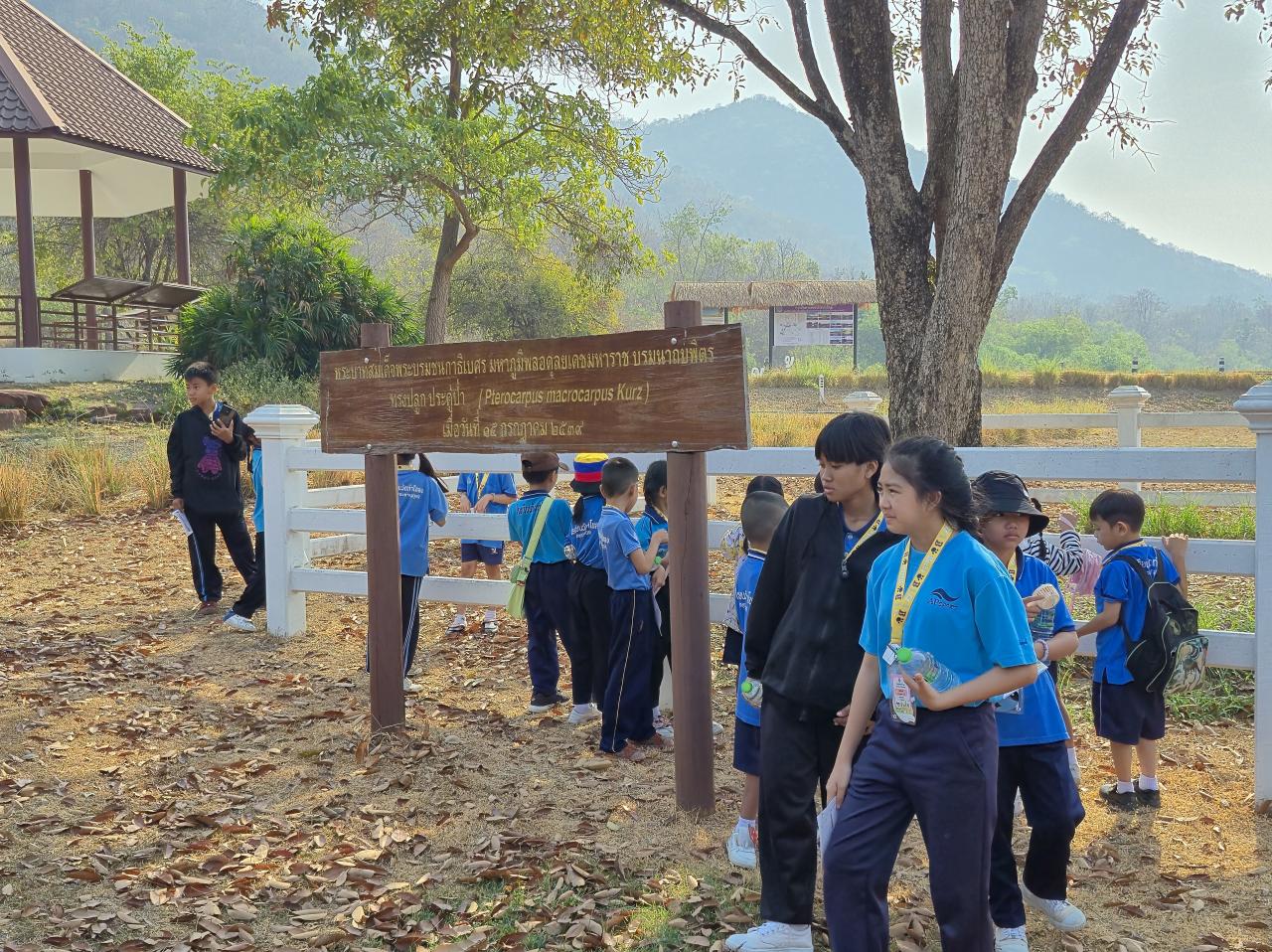 ภาพประกอบที่ 2