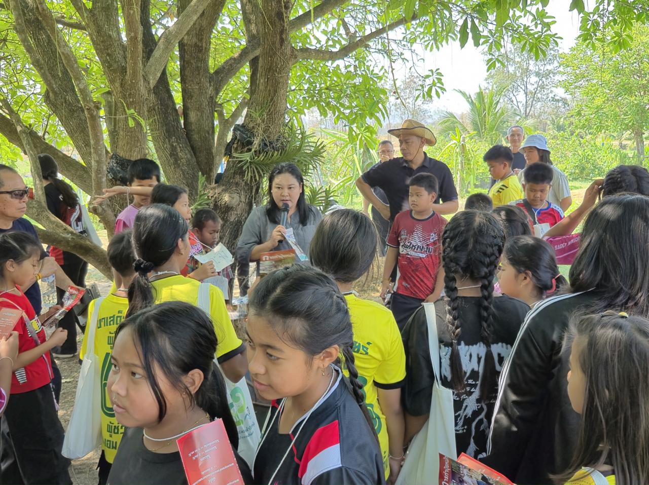 ภาพประกอบที่ 28