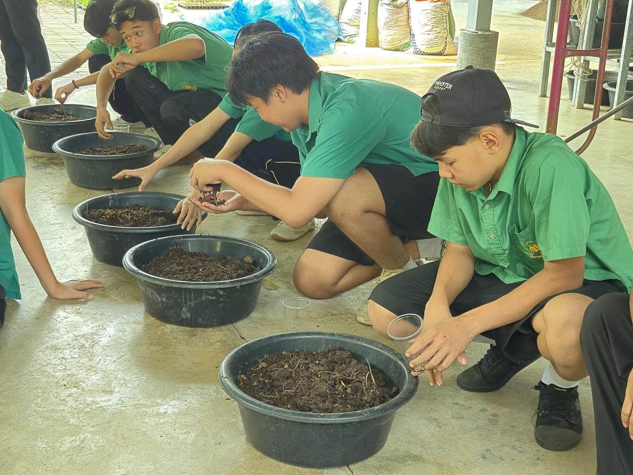 ภาพประกอบที่ 9