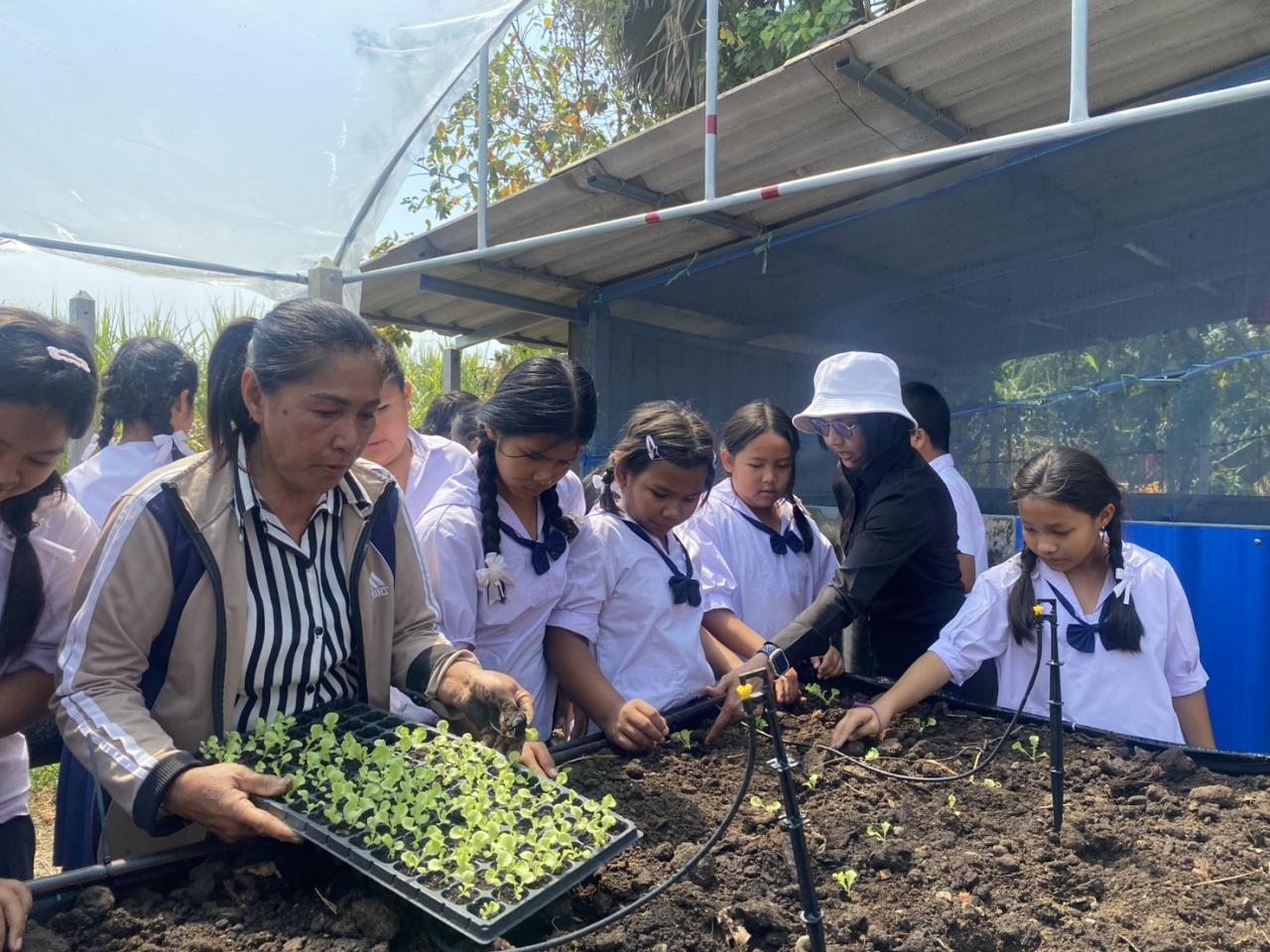 ภาพประกอบที่ 1