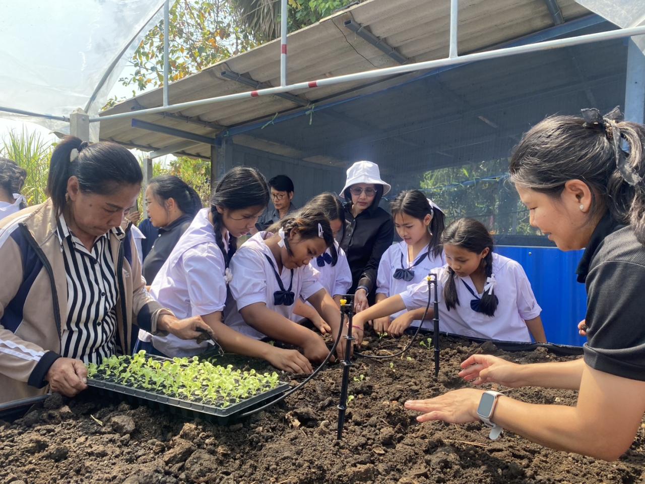 ภาพประกอบที่ 2