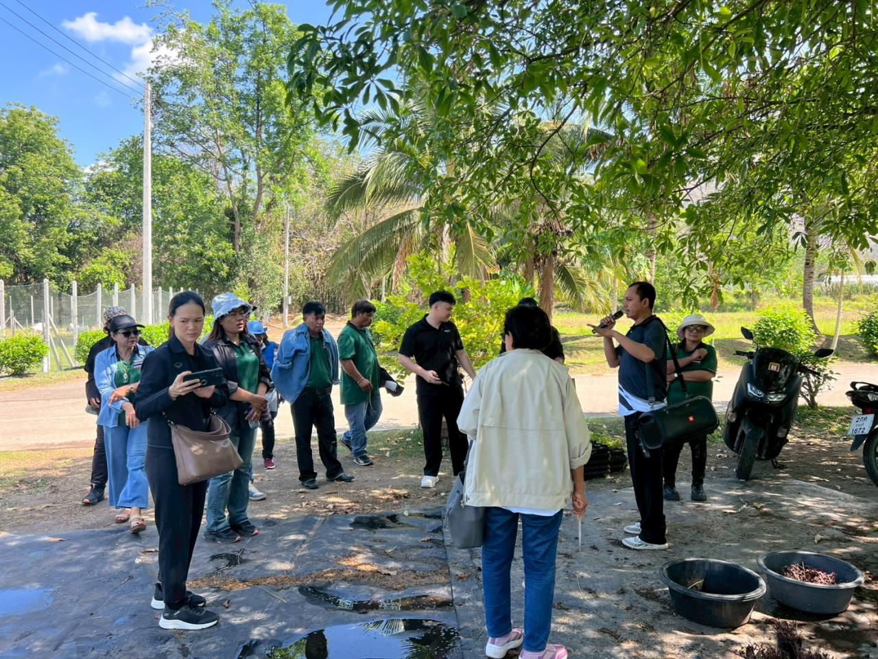 ภาพประกอบที่ 24