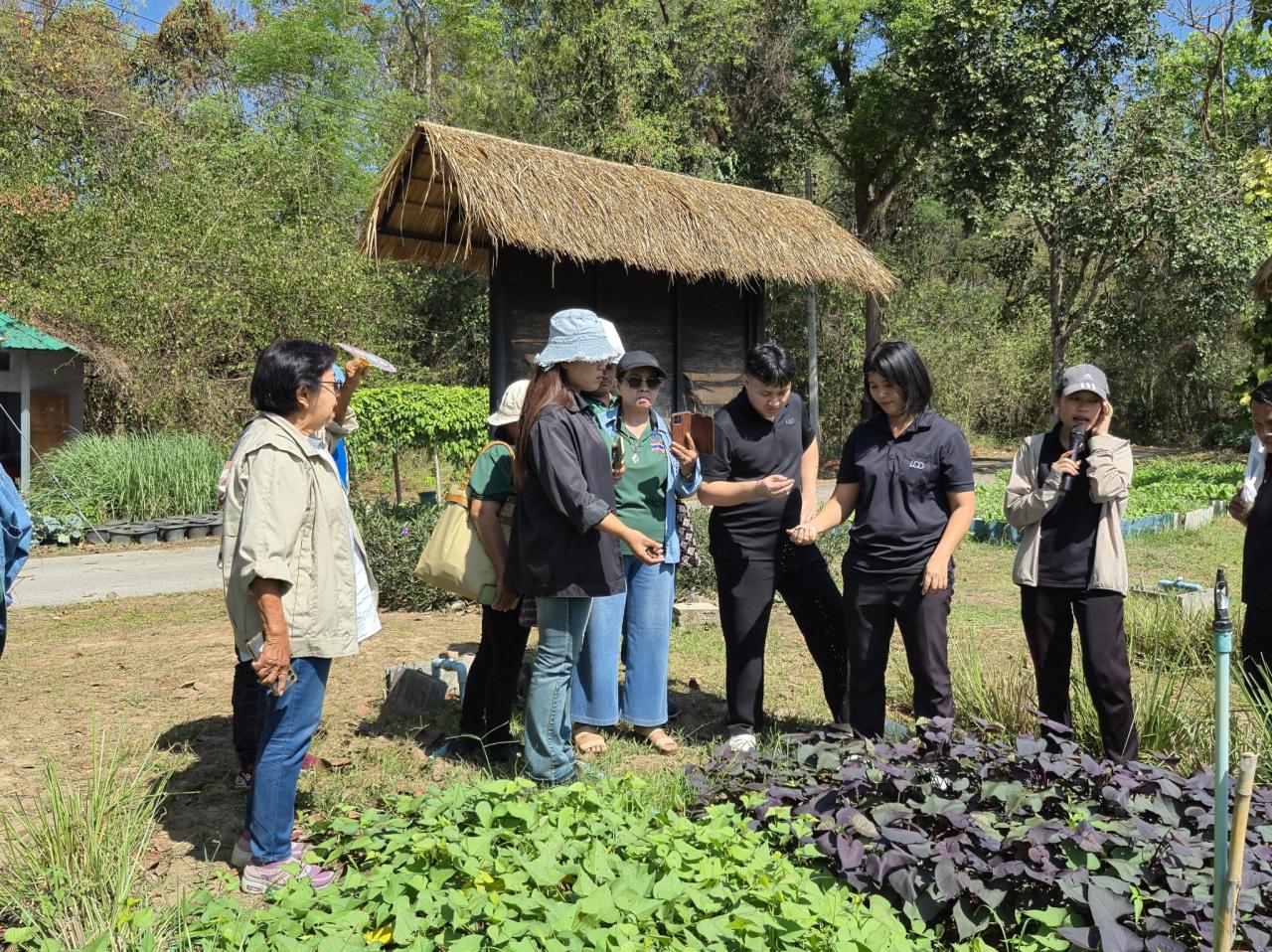 ภาพประกอบที่ 12